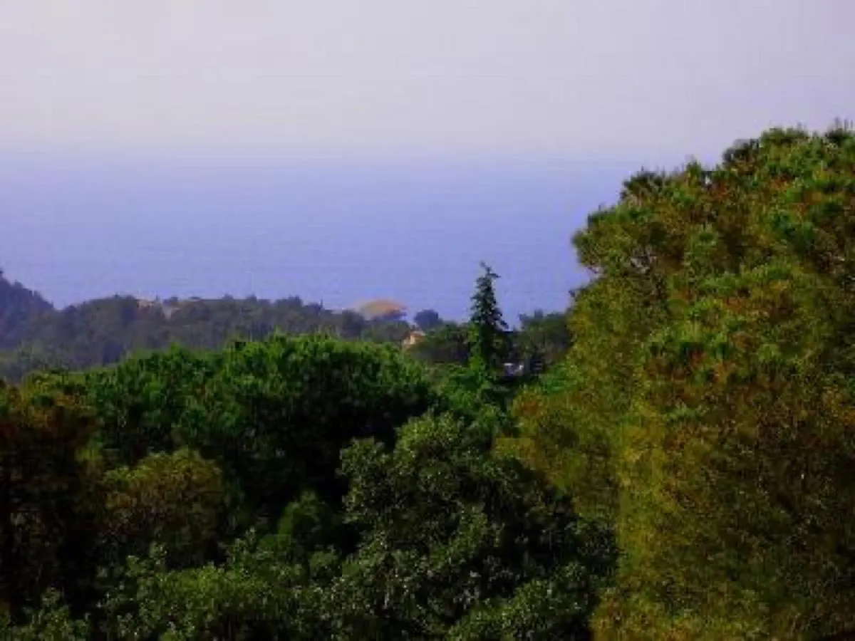 Apartmán Apartamento Corinna Tossa de Mar